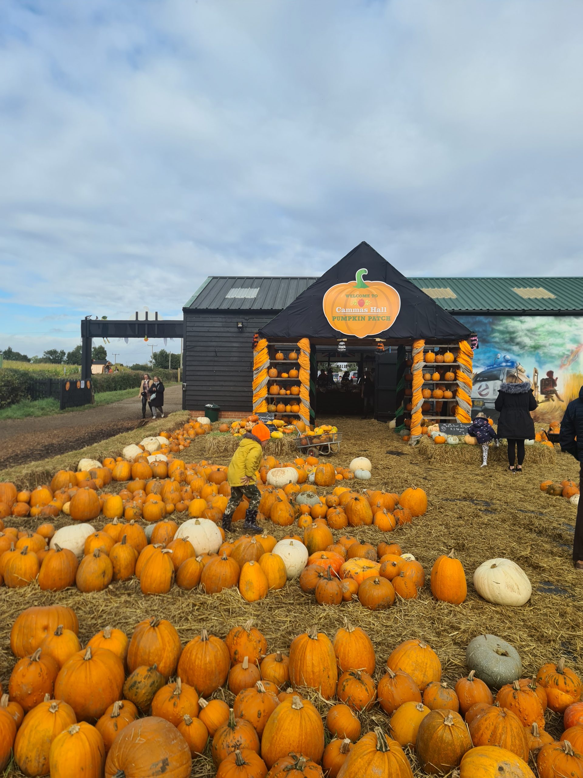 Halloween fun at Bishops Stortford Farm - pumpkins