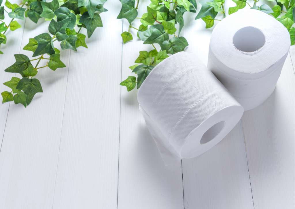 eco-friendly toilet paper New Years eve sustainable resolutions