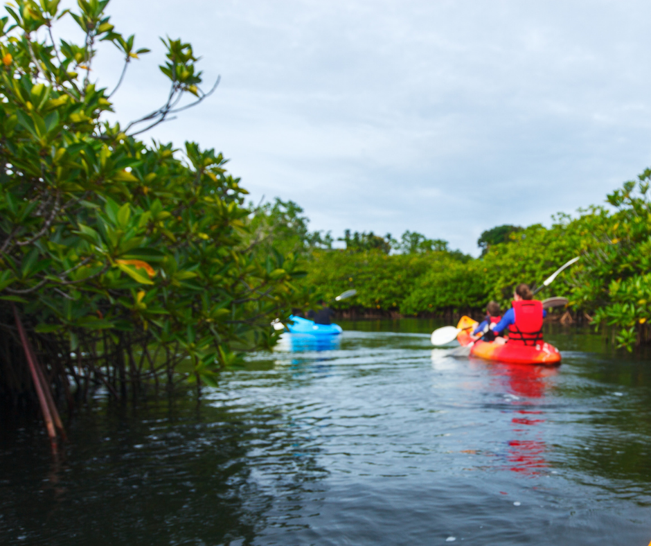 Activities In Hampshire - Paddle Boat Family