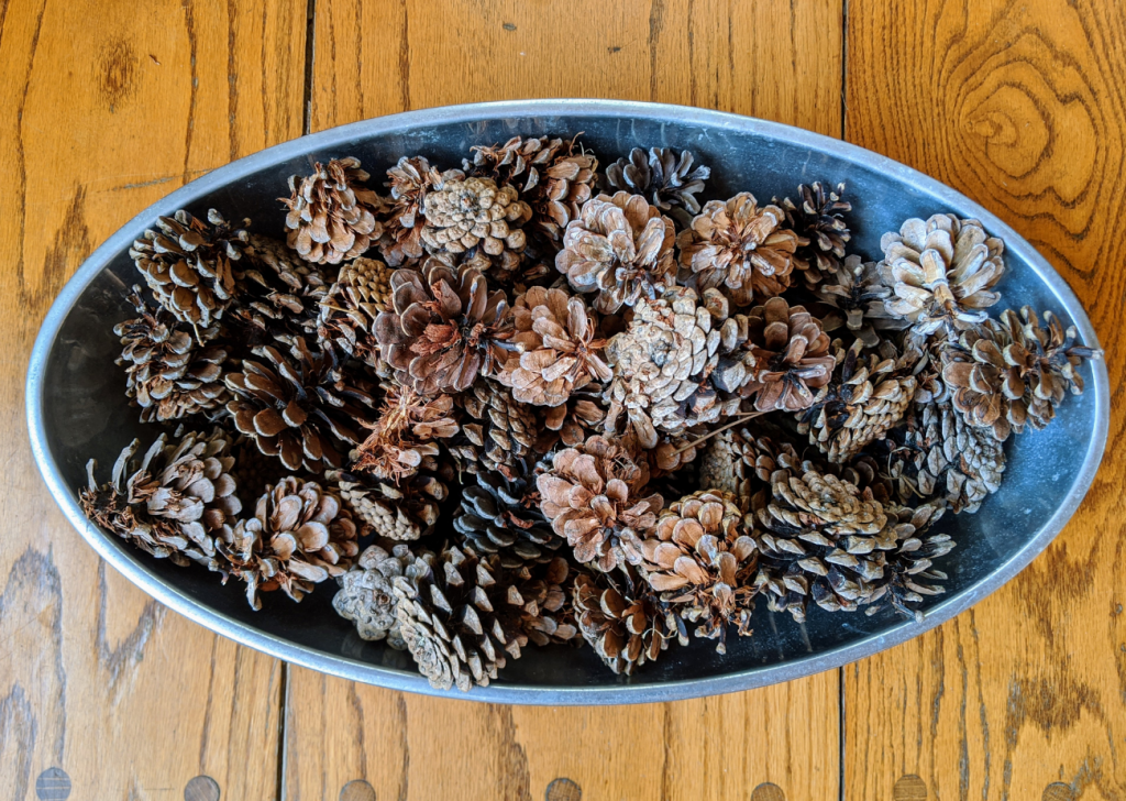 natural secrets to a great smelling home bowl of pinecones 