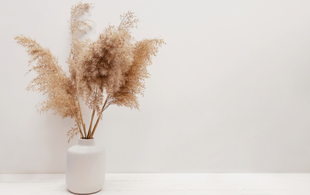 Dried Home Flower Display Pampas Plant