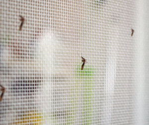 Fly Screen To Keep Insects Out Of The House