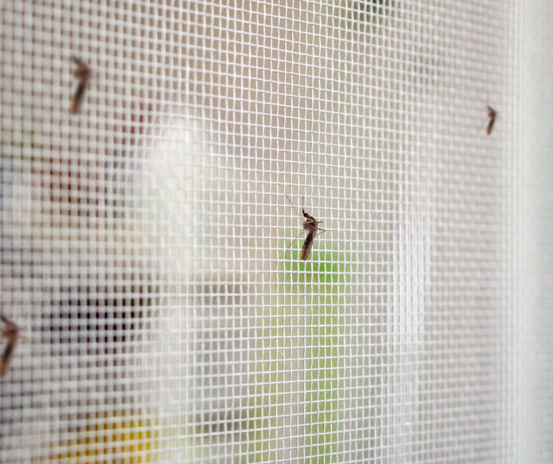 How To Keep Insects Out Of The House In Summer