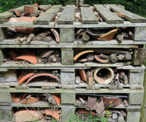 Bug Hotels To Keep Insects Out Of The Home