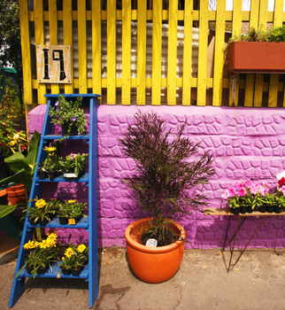 Bright colourful DIY Patio Garden
