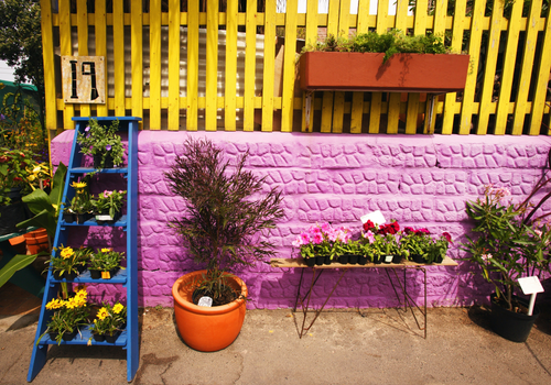 Bright colourful DIY Patio Garden