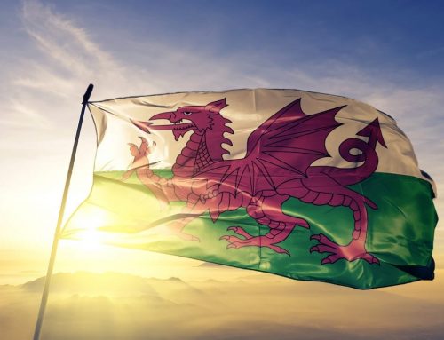 Spring Cleaning on St David’s Day