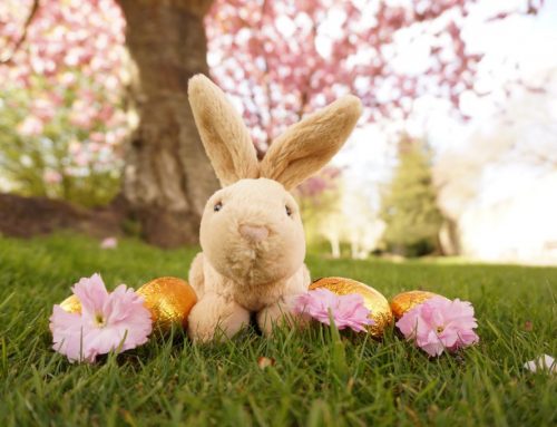Easter Excitement in Winchester: Family-Friendly Activities Await!