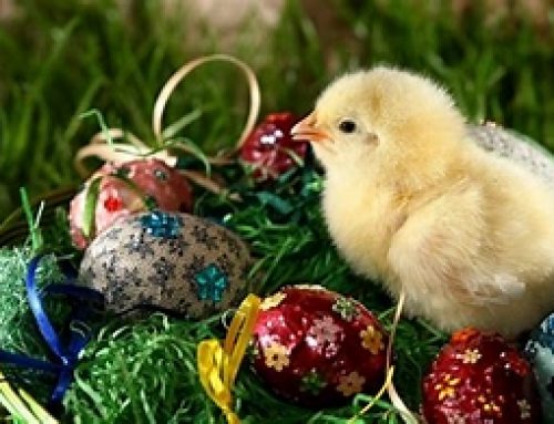 Easter Events in Fleet: Fun-Filled Activities for the Whole Family